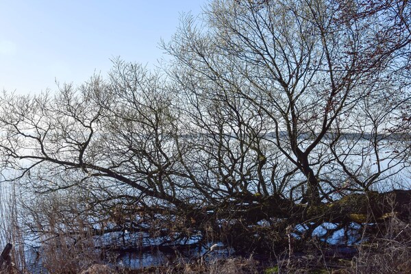 Foto van 6 persoons vakantie huis in Kirke Hyllinge - Vakantiehuis in Kirke Hyllinge - WaterView