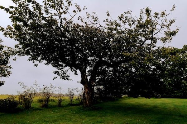 Foto van 6 persoons vakantie huis in Løkken - Vakantiehuis in Løkken - Untagged