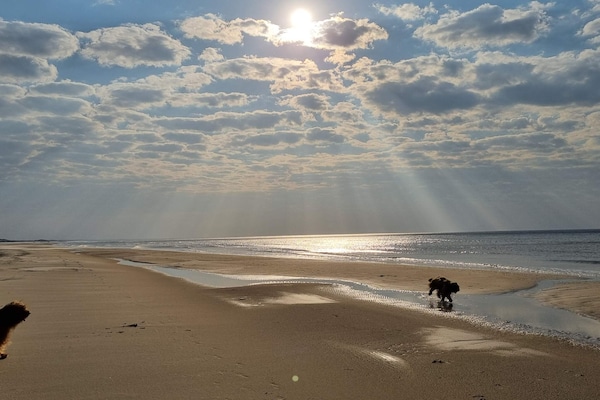 Foto van 6 persoons vakantie huis in Løkken - Vakantiehuis in Løkken - WaterView
