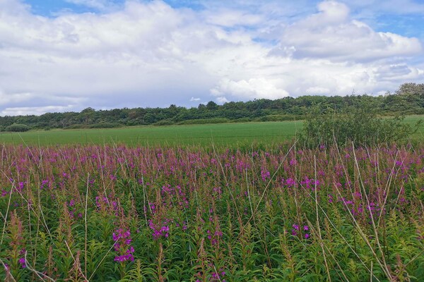 Foto van 6 persoons vakantie huis in Nørre Nebel - Vakantiehuis in Nørre Nebel - Untagged