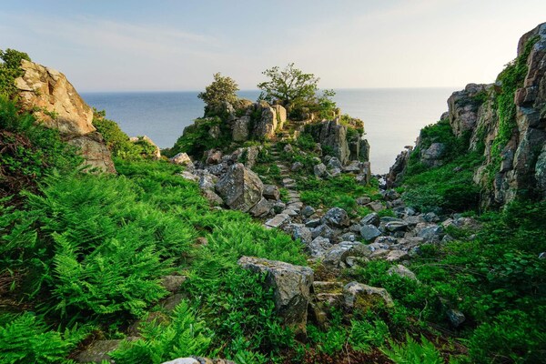 Foto van 5 persoons vakantie huis op een vakantie park in Gudhjem - Untagged