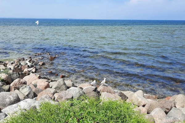 Foto van 5-persoons vakantiepark in Bogense - Vakantiehuis in Bogense - WaterView