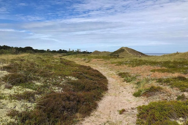 Foto van 6 persoons vakantie huis in Læsø-By Traum - Vakantiehuis in Læsø - Untagged