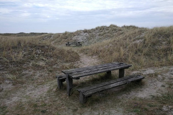 Foto van 6 persoons vakantie huis in Læsø-By Traum - Vakantiehuis in Læsø - Untagged