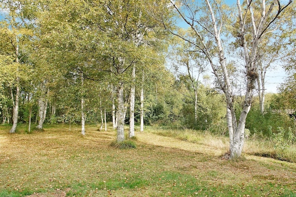 Foto van 6 persoons vakantie huis in Læsø-By Traum - Vakantiehuis in Læsø - View