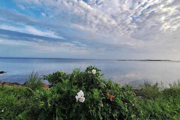 Foto van Retraite voor 6 personen in Bogense - Vakantiehuis in Bogense - WaterView