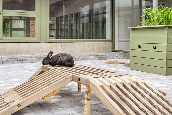 Foto van 6 persoons vakantie huis op een vakantie park in Hanstholm - Untagged