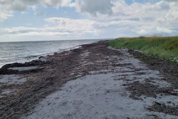 Foto van 6 persoons vakantie huis in Læsø-By Traum - Vakantiehuis in Læsø - WaterView