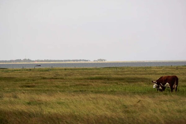 Foto van 6 persoons vakantie huis in Læsø-By Traum - Vakantiehuis in Læsø - WaterView
