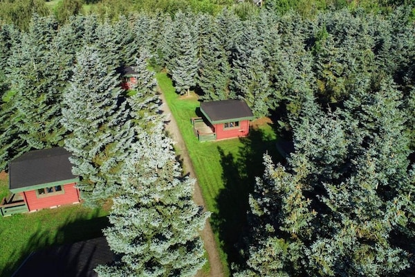 Foto van 2 persoons vakantieparkhuis in Græsted - Vakantiehuis in Græsted - Outdoor