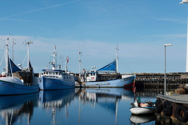 Foto van 4 persoons vakantieparkhuis in Glesborg - Vakantiehuis in Glesborg - Untagged