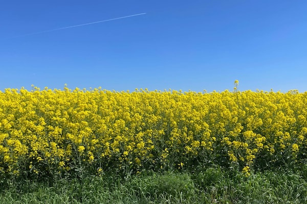 Foto van 2 persoons vakantieparkhuis in TESTBY - Vakantiehuis in TESTBY - Untagged