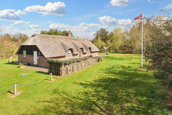 Foto van 6 persoons vakantie huis in Jerup-By Traum - Vakantiehuis in Jerup - View