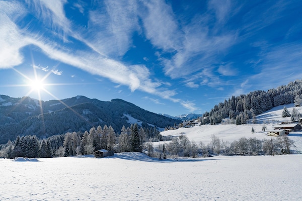 Foto van Licht Vicky Appartement met infraroodsauna - Vakantiehuis in Wildschönau - AreaWinter5KM