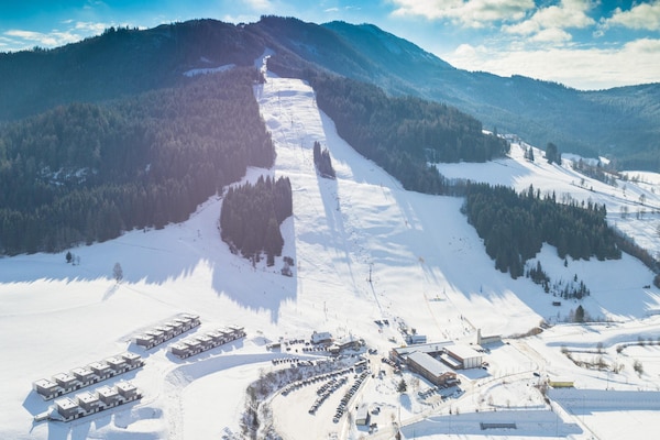 Foto van Mooi chalet met infraroodsauna - Vakantiehuis in St. Lambrecht - AreaWinter20KM