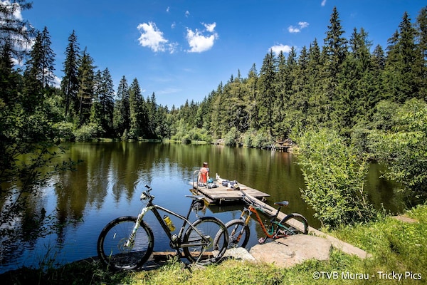 Foto van Sfeervol appartement in Steiermark met sauna - Vakantiehuis in Kreischberg Murau - AreaWinter5KM