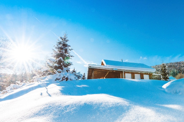 Foto van Gezellig chalet met infraroodsauna - Vakantiehuis in Stadl an der mur - GardenWinter