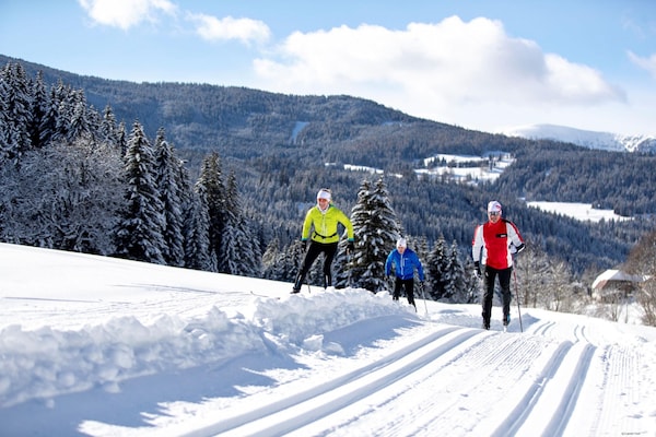 Foto van Mooi chalet met bubbelbad - Vakantiehuis in Turracherhöhe - AreaWinter5KM
