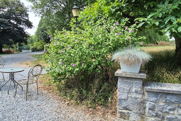 Foto van Natuurontsnapping in Bohon - Vakantiehuis in Bohon-Durbuy - AreaSummer5KM