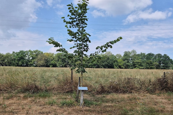 Foto van Natuurontsnapping in Bohon - Vakantiehuis in Bohon-Durbuy - AreaSummer5KM