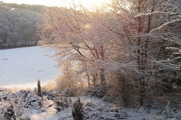 Foto van Natuurontsnapping in Bohon - Vakantiehuis in Bohon-Durbuy - AreaWinter5KM