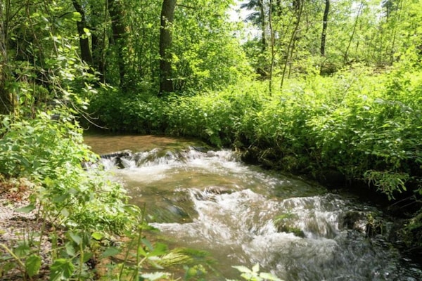 Foto van Gezellige 5-persoons Glampingtent in de Ardennen - Vakantiehuis in Dochamps - AreaSummer5KM