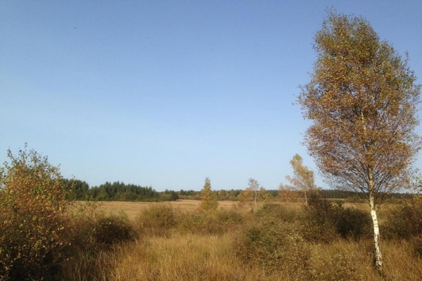 Foto van Luxe zonnetent in Dochamps - Vakantiehuis in Dochamps - AreaSummer5KM
