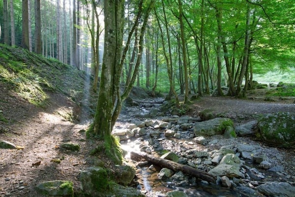 Foto van Luxe zonnetent in Dochamps - Vakantiehuis in Dochamps - AreaSummer5KM