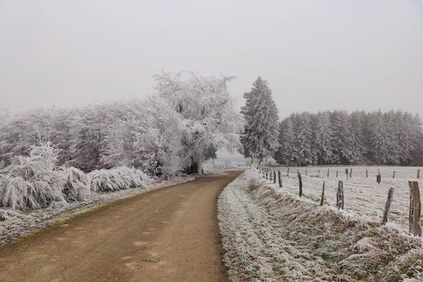 Foto van Luxe zonnetent in Dochamps - Vakantiehuis in Dochamps - AreaWinter5KM