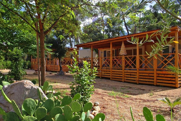 Foto van Stacaravans in Camping Soline in Biograd, - Vakantiehuis in Biograd - GardenSummer