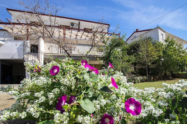 Foto van Appartement voor 3 personen in Starigrad - Vakantiehuis in Starigrad Paklenica - ExteriorSummer