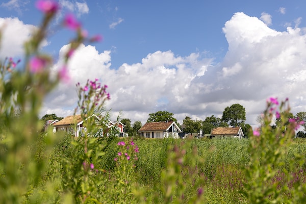 Foto van Bungalow aan Zee met Sauna in Duitsland - Vakantiehuis in Sierksdorf - AreaSummer1KM
