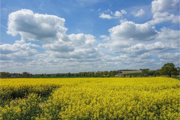Foto van Vrijstaand huis in Duitsland met loggia - Vakantiehuis in Brakel-Bellersen - ParkFacilities