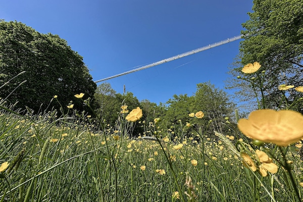 Foto van Vakantiehuis in Duitsland met natuurpracht - Vakantiehuis in Ronshausen - AreaSummer20KM