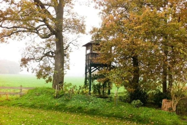 Foto van Vakantiehuis in Bad Bentheim bij Nederland - Vakantiehuis in Bad Bentheim - AreaSummer20KM