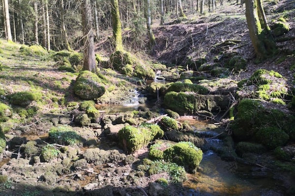 Foto van Chalet in Duitsland met Haard & Terras - Vakantiehuis in Schönecken - AreaSummer5KM