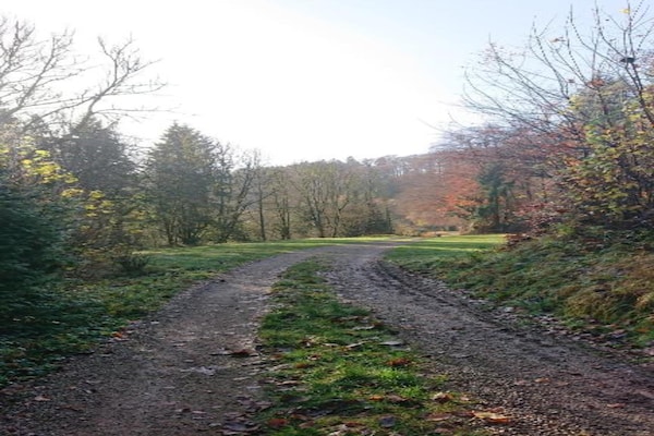 Foto van Chalet in Duitsland met Haard & Terras - Vakantiehuis in Schönecken - AreaSummer5KM