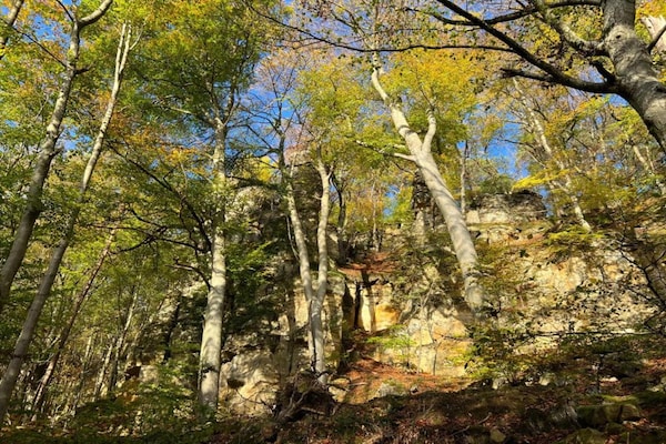 Foto van Tentlodge bij natuurpark Echternach - Vakantiehuis in Echternacherbrück - AreaSummer20KM