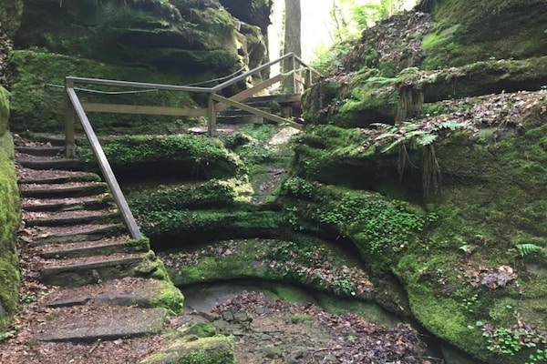 Foto van Tentlodge bij Echternach & Eifel Natuurpark - Vakantiehuis in Echternacherbrück - AreaSummer20KM