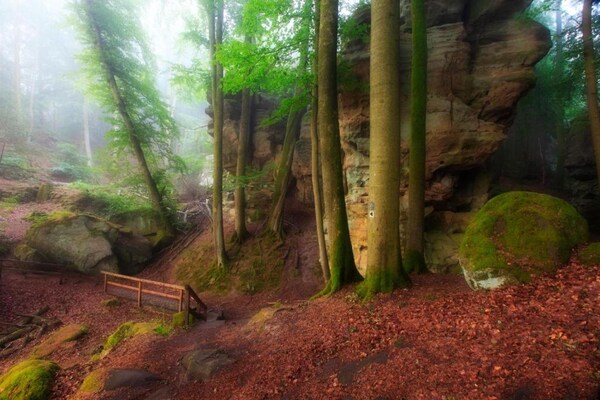 Foto van Tentlodge bij Echternach & Eifel Natuurpark - Vakantiehuis in Echternacherbrück - AreaSummer20KM