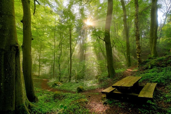 Foto van Tentlodge bij Echternach & Eifel Natuurpark - Vakantiehuis in Echternacherbrück - AreaSummer20KM