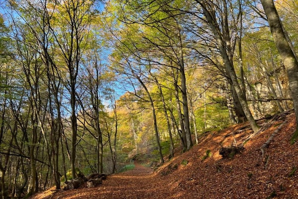 Foto van Tentlodge bij Echternach & Eifel Natuurpark - Vakantiehuis in Echternacherbrück - AreaSummer20KM
