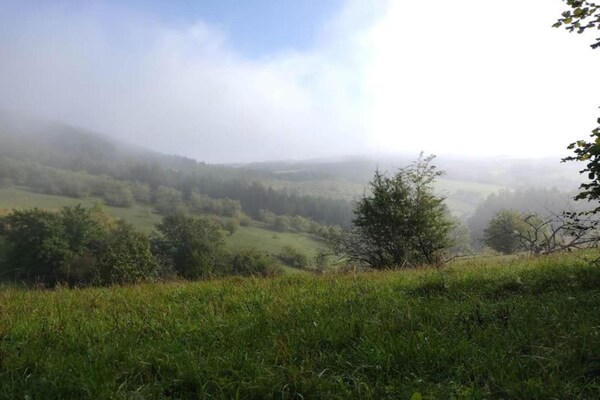 Foto van Tentlodge bij Echternach & Eifel Natuurpark - Vakantiehuis in Echternacherbrück - AreaSummer20KM