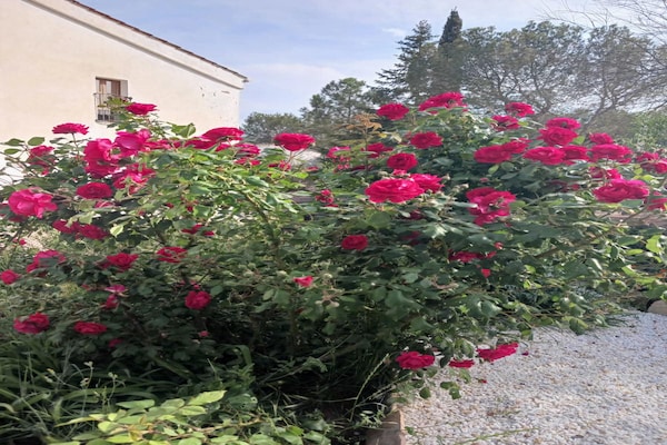 Foto van Gezellige cottage in Catalonië nabij meer - Vakantiehuis in Sant Salvador de Guardiola - Ambiance