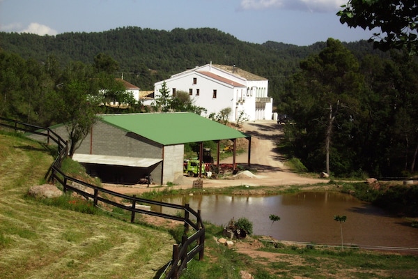 Foto van Gezellige cottage in Catalonië nabij meer - Vakantiehuis in Sant Salvador de Guardiola - ExteriorSummer