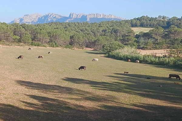 Foto van Luxueus vakantiehuis met zwembad - Vakantiehuis in Sant Salvador de Guardiola - AreaSummer5KM
