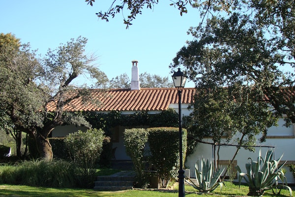 Foto van Vakantiehuis in Herrera aan de rivier de Tajo - Vakantiehuis in Herrera de Alcántara - ExteriorSummer