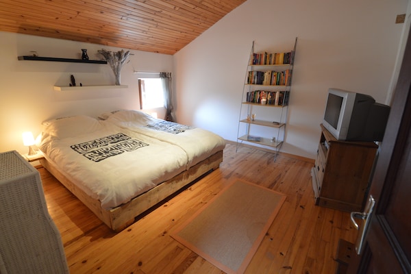 Foto van Vakantiehuis bij Loire-kastelen - Vakantiehuis in Frontenay sur Dive - ExteriorSummer