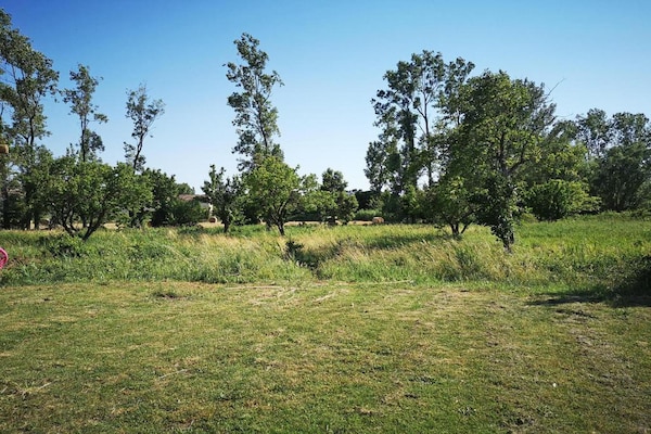 Foto van Gezellig landhuis in Les Alpilles - Vakantiehuis in Paradou - AreaSummer20KM
