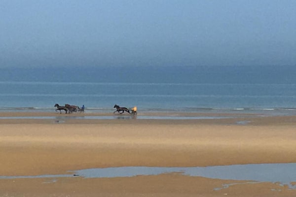 Foto van Appartement in Cabourg bij Stranden - Vakantiehuis in Cabourg - AreaSummer20KM